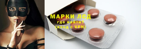сатива Аркадак