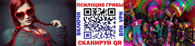 Псилоцибиновые грибы Psilocybe  Купить  Сураж 