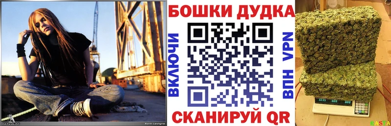 Каннабис марихуана  Купить закладки  Сураж 